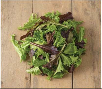 Starstruck Lettuce Mix