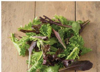 Starstruck Lettuce Mix