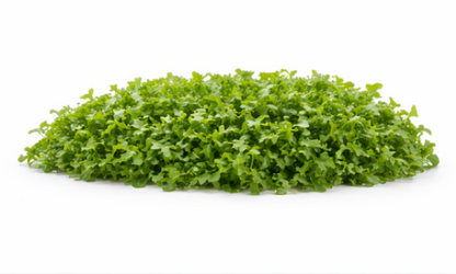 Uber Watercress