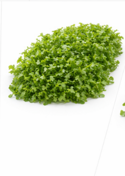 Uber Watercress