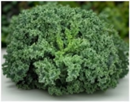 Westlandse Winter – Organic