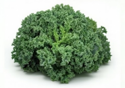 Westlandse Winter – Organic