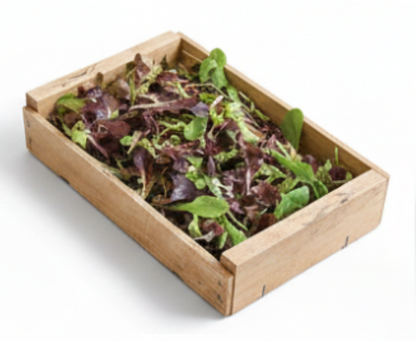 Wildfire Lettuce