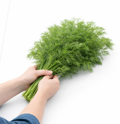 Curly-Leaf Parsley